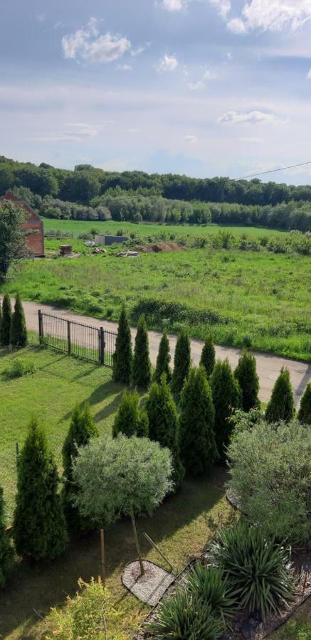 Przyjazny Domek Tarnowskie Góry Exterior foto